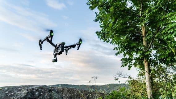 Drones For Wildlife Photography